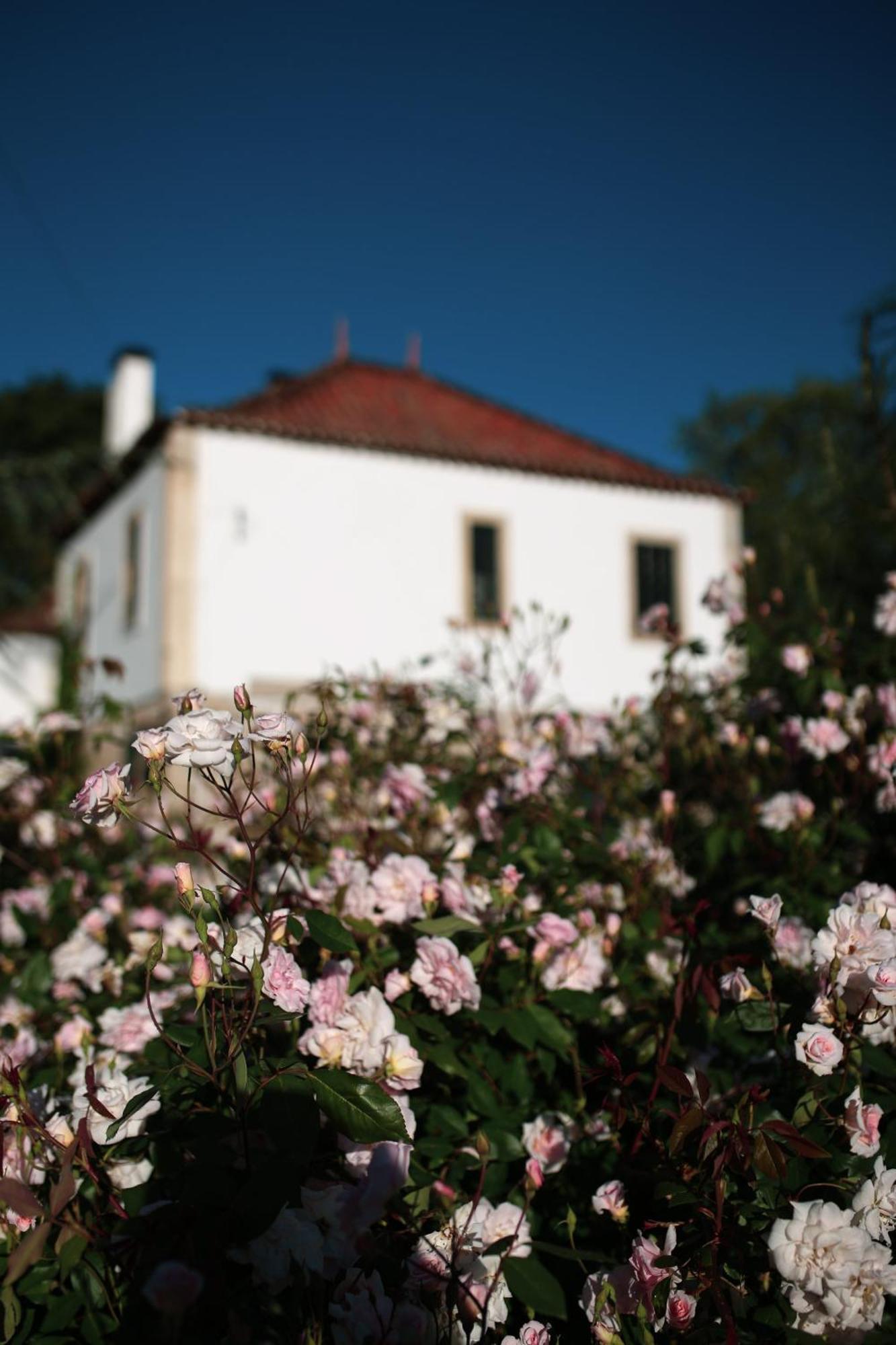 Lugar Da Pedra Alta - B&B - Private Historical Villa Melo ภายนอก รูปภาพ