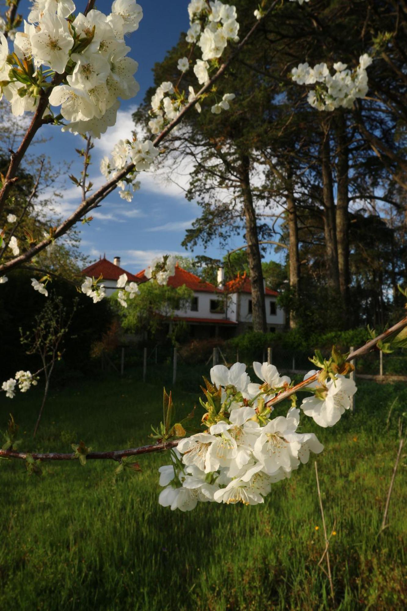 Lugar Da Pedra Alta - B&B - Private Historical Villa Melo ภายนอก รูปภาพ