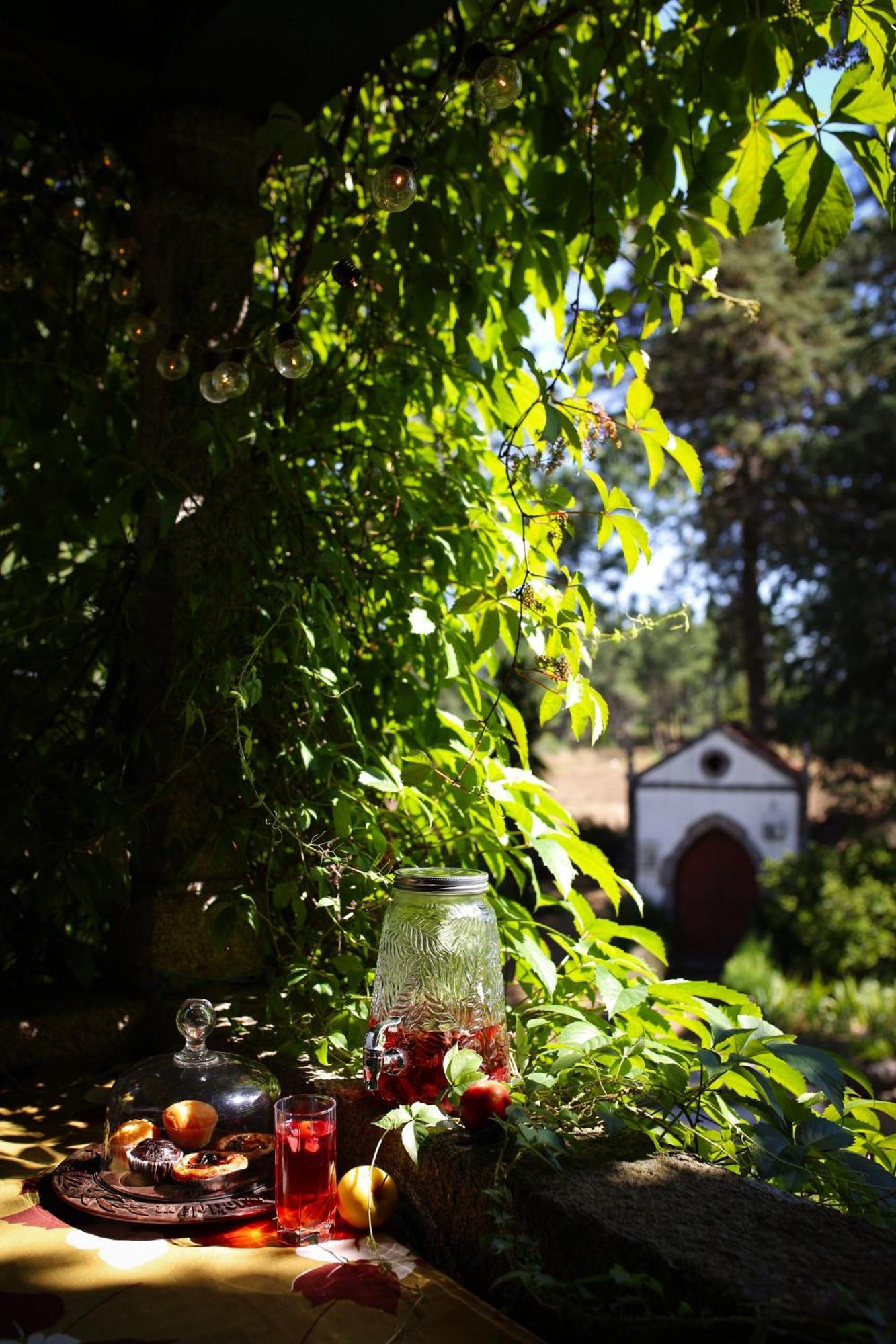 Lugar Da Pedra Alta - B&B - Private Historical Villa Melo ภายนอก รูปภาพ
